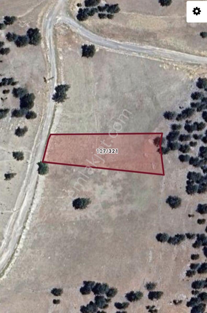 Aydın'dan Toroslar Tırtar'da 3 Dönüm Fırsat Satılık Arsa - Görsel 5