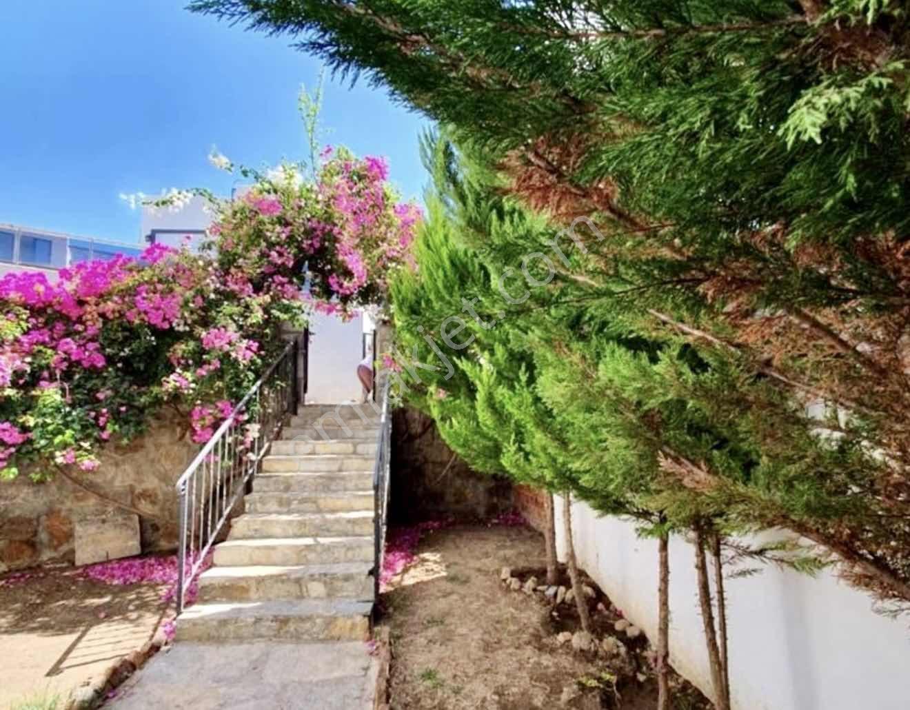 Gümüşlük Yalıkavak Günbatımı Manzaralı Özel Havuzlu Villa - Görsel 14