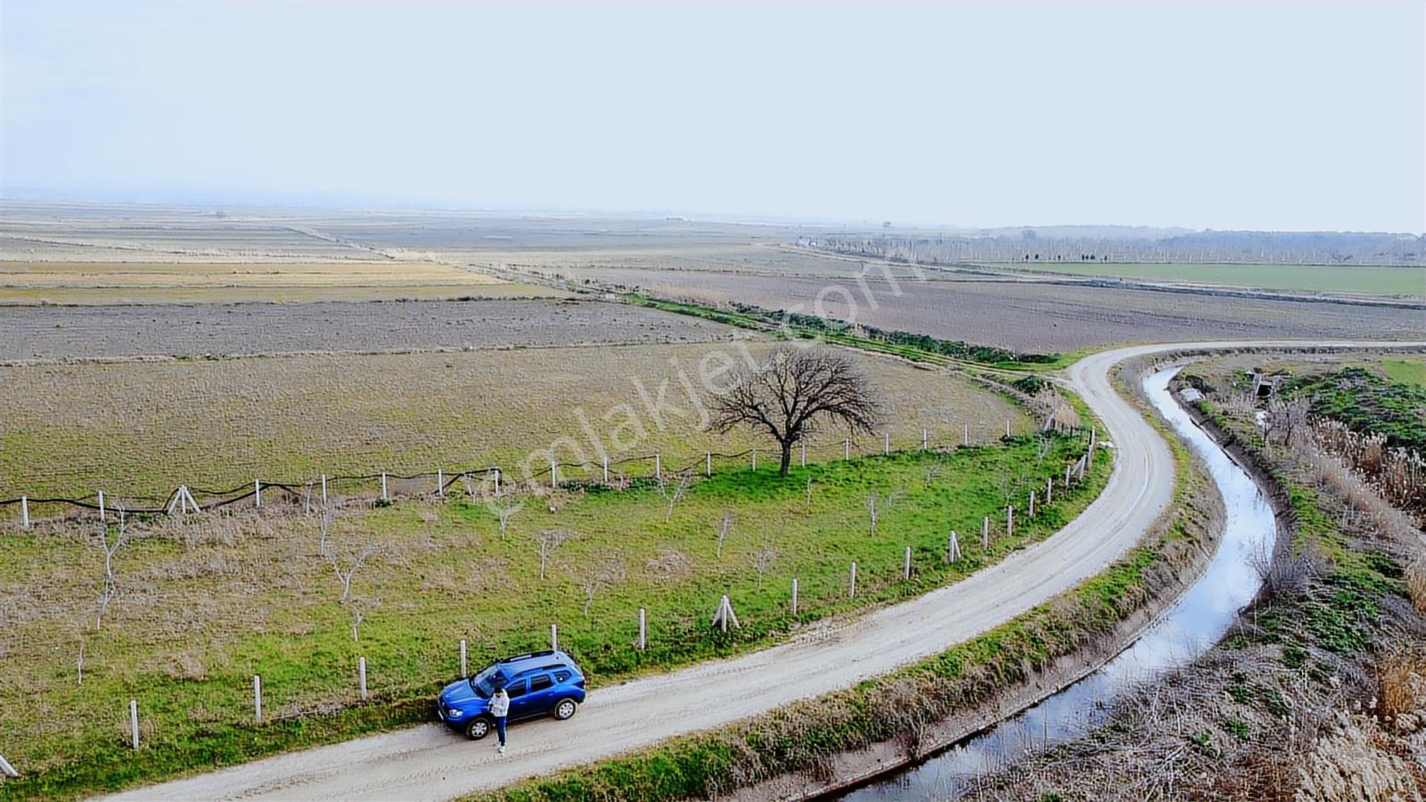 Çanakkale,ezineiüvecik Köyünde Satılık Ceviz Bahçesi - Görsel 31