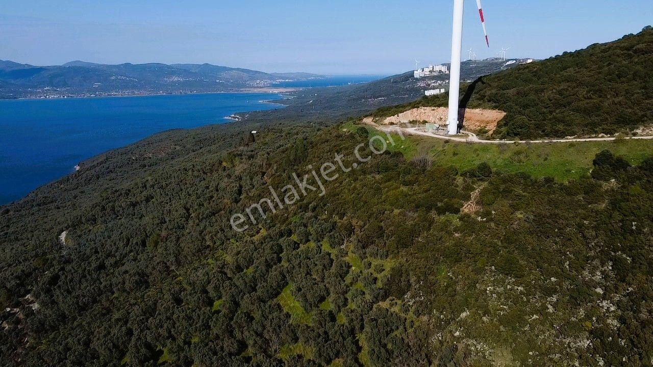 Era Söz'den Edincik'te Deniz Manzaralı Yatırımlık Zeytinlik - Görsel 14