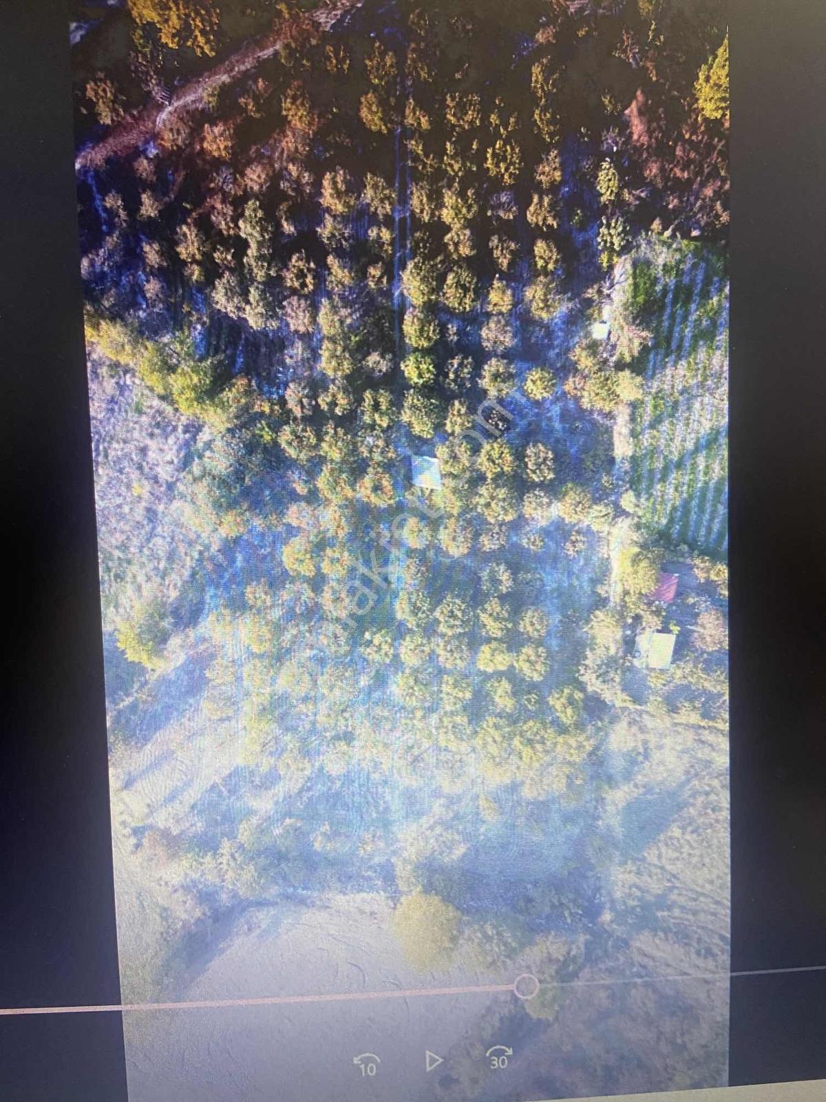 Amasya Sevıncerde Satılık Meyve Ağaçlı Tarla 2807 Mk. - Görsel 9