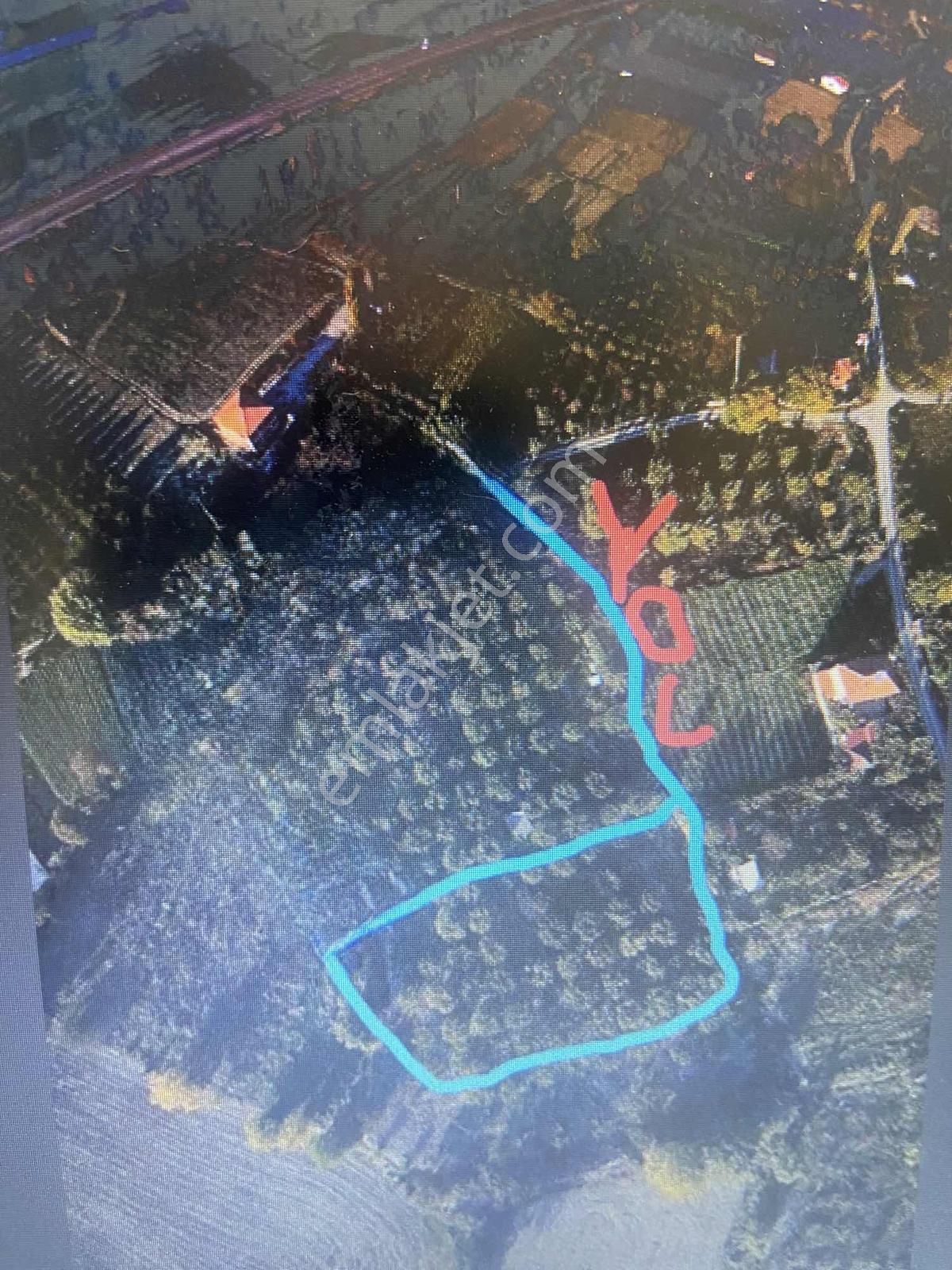 Amasya Sevıncerde Satılık Meyve Ağaçlı Tarla 2807 Mk. - Görsel 2
