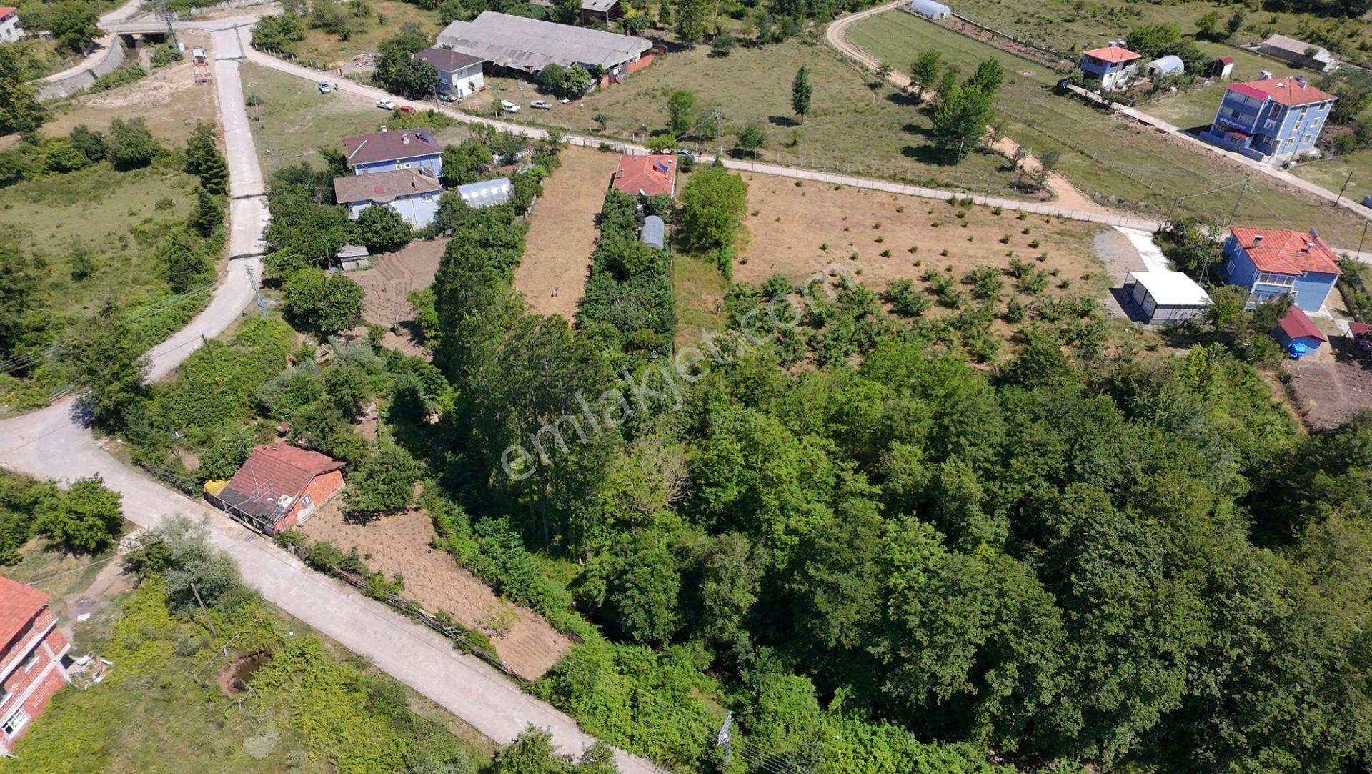 Kastamonu Cide Sırakaya’da Arsa - Görsel 6