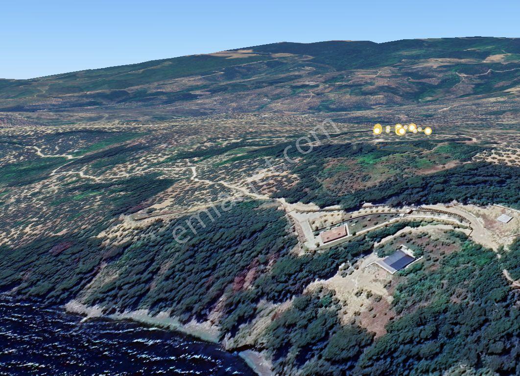 Rt Safir'den Mudanya Halilbey'de Satılık 2.827 M² Zeytinlik | Deniz Manzaralı Yatırımlık Arazi - Görsel 8