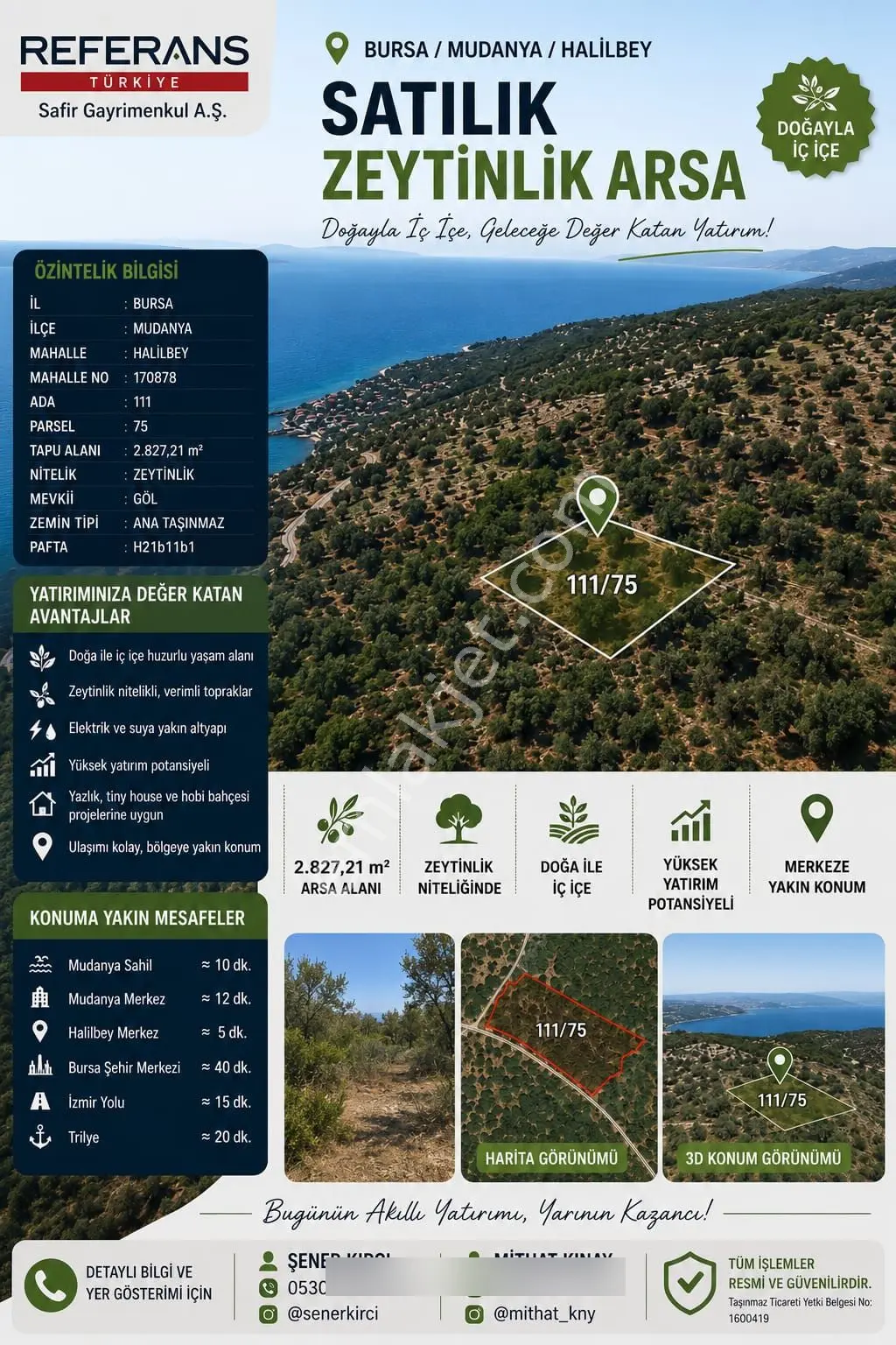 Rt Safir'den Mudanya Halilbey'de Satılık 2.827 M² Zeytinlik | Deniz Manzaralı Yatırımlık Arazi - Görsel 4