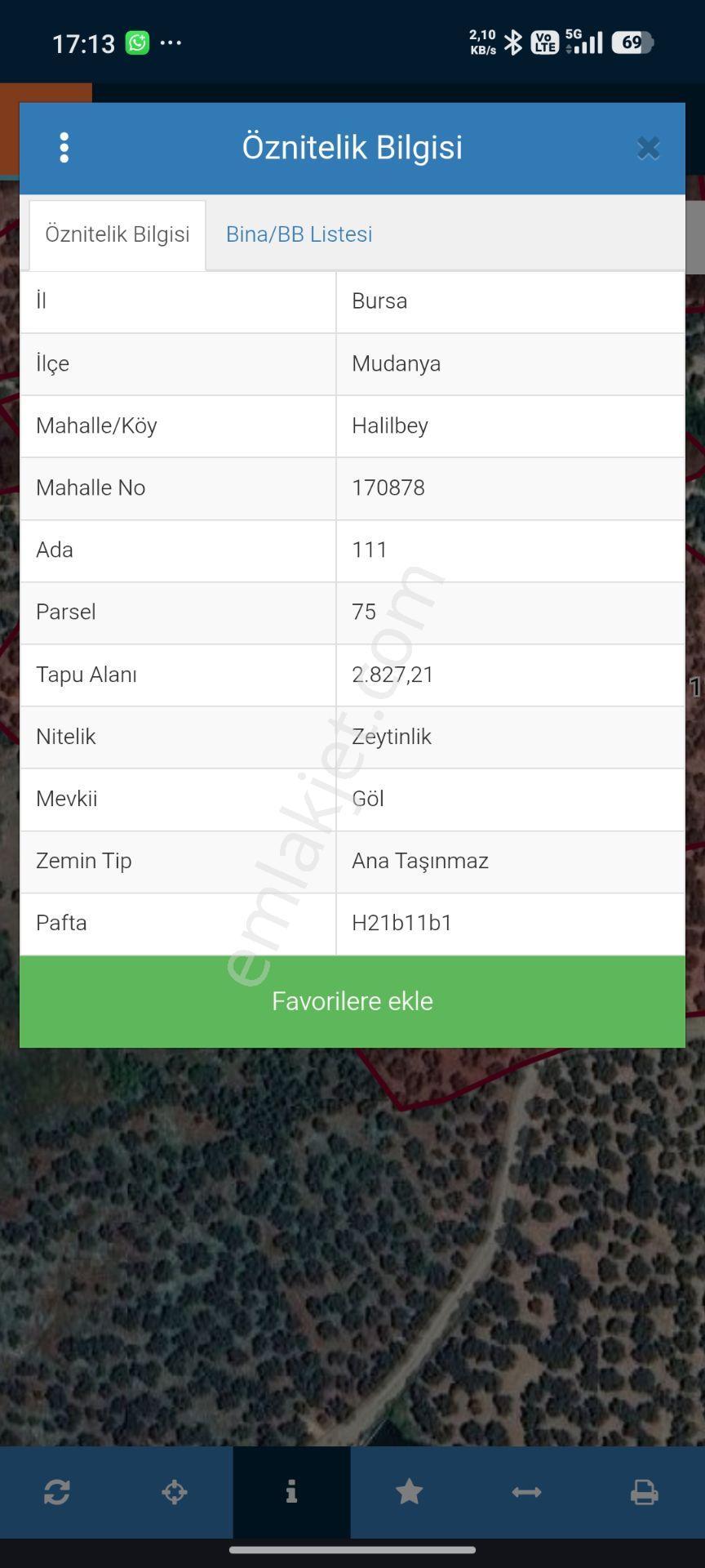 Rt Safir'den Mudanya Halilbey'de Satılık 2.827 M² Zeytinlik | Deniz Manzaralı Yatırımlık Arazi - Görsel 6