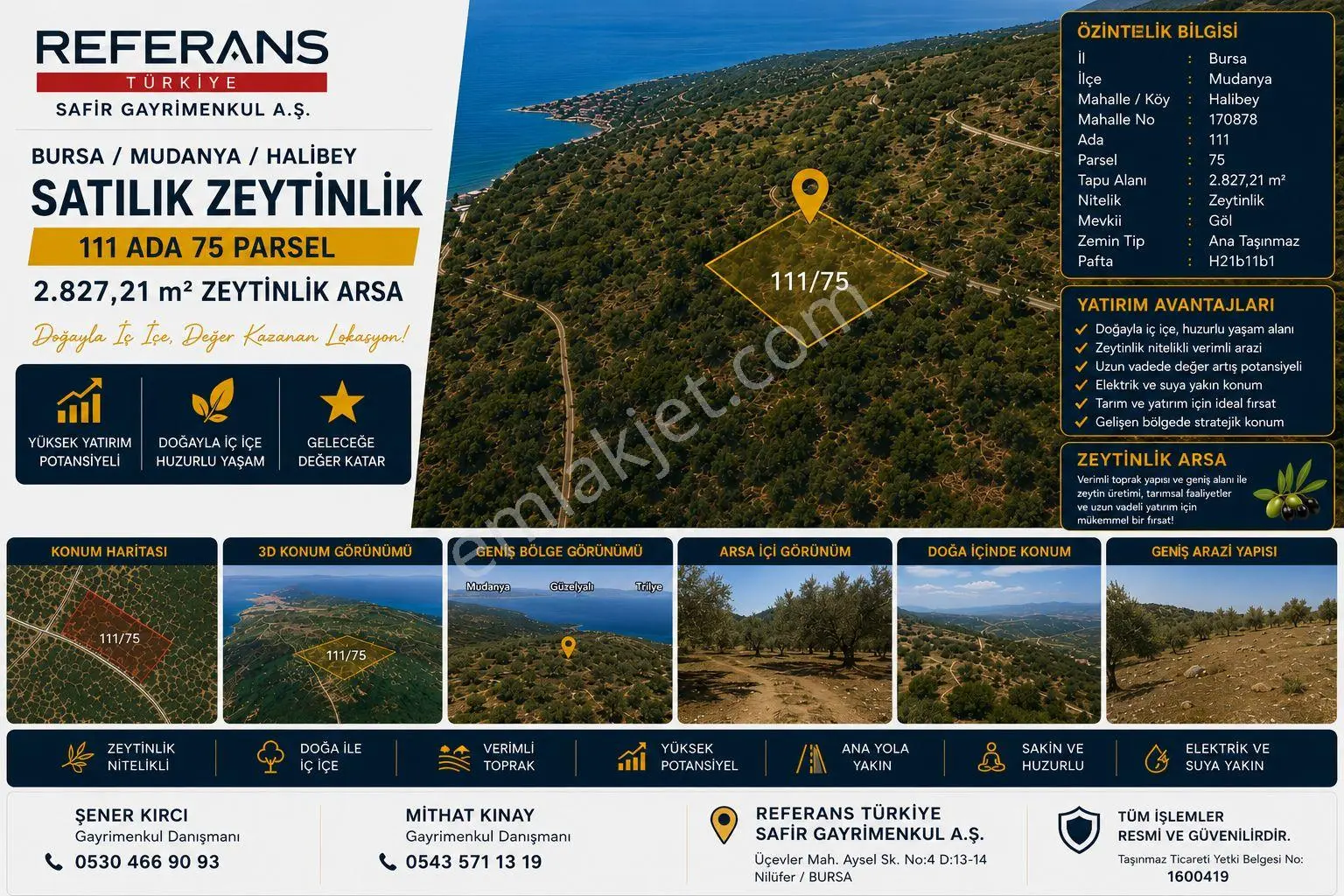 Rt Safir'den Mudanya Halilbey'de Satılık 2.827 M² Zeytinlik | Deniz Manzaralı Yatırımlık Arazi