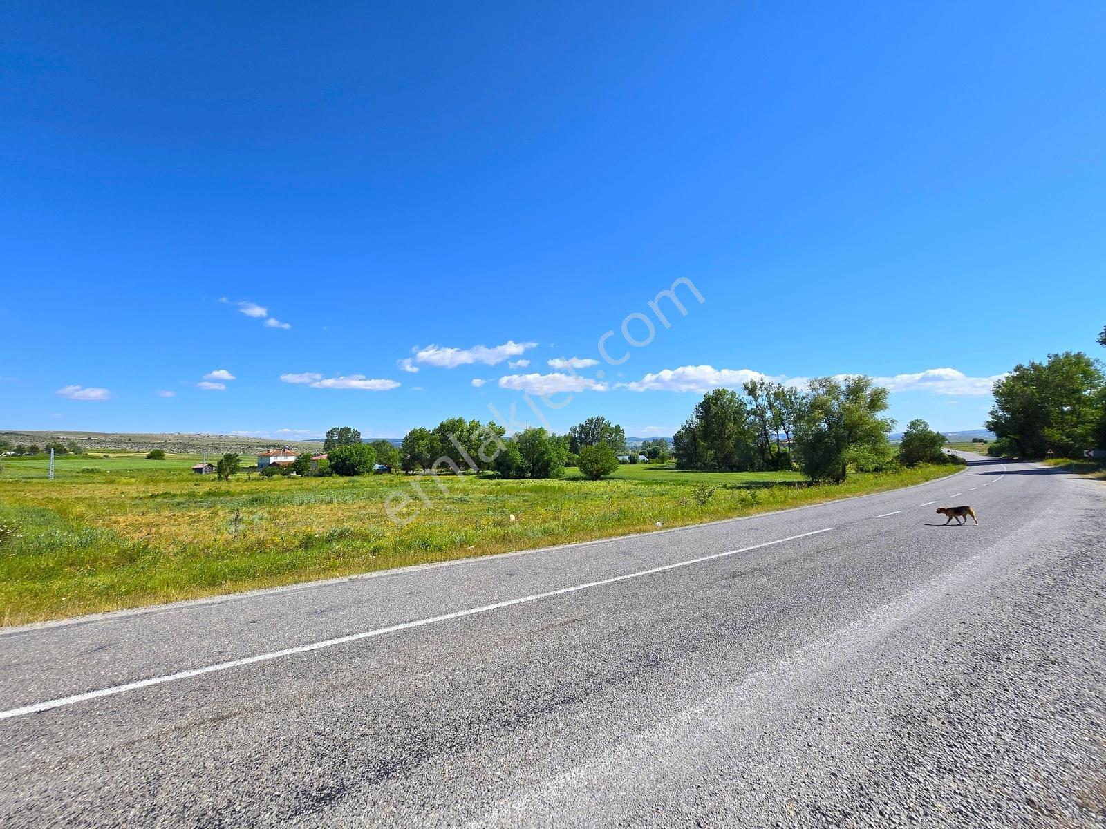 █kasaplar'da - Ana Asfalta Cepheli - 3 Villalık - 2.528 M² Arsa█ - Görsel 4