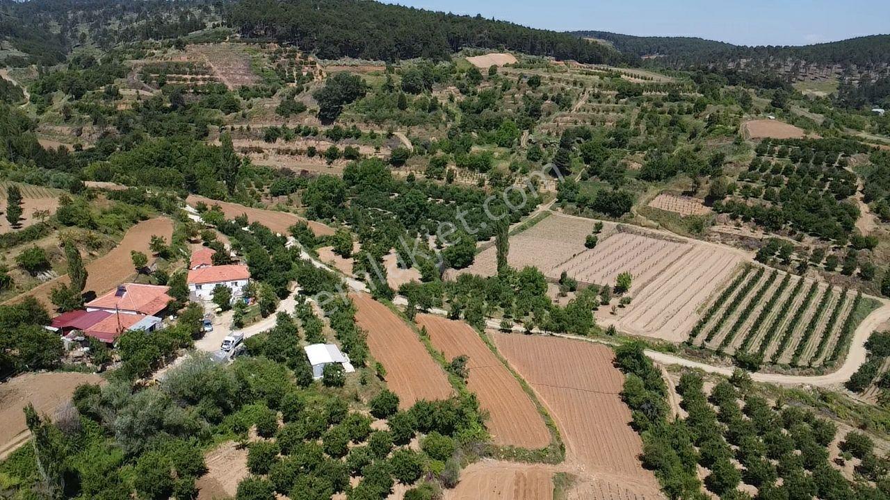 Denizli Buldan Yayla Da Satılık Mükemmel Manzaralı Arsa - Görsel 19