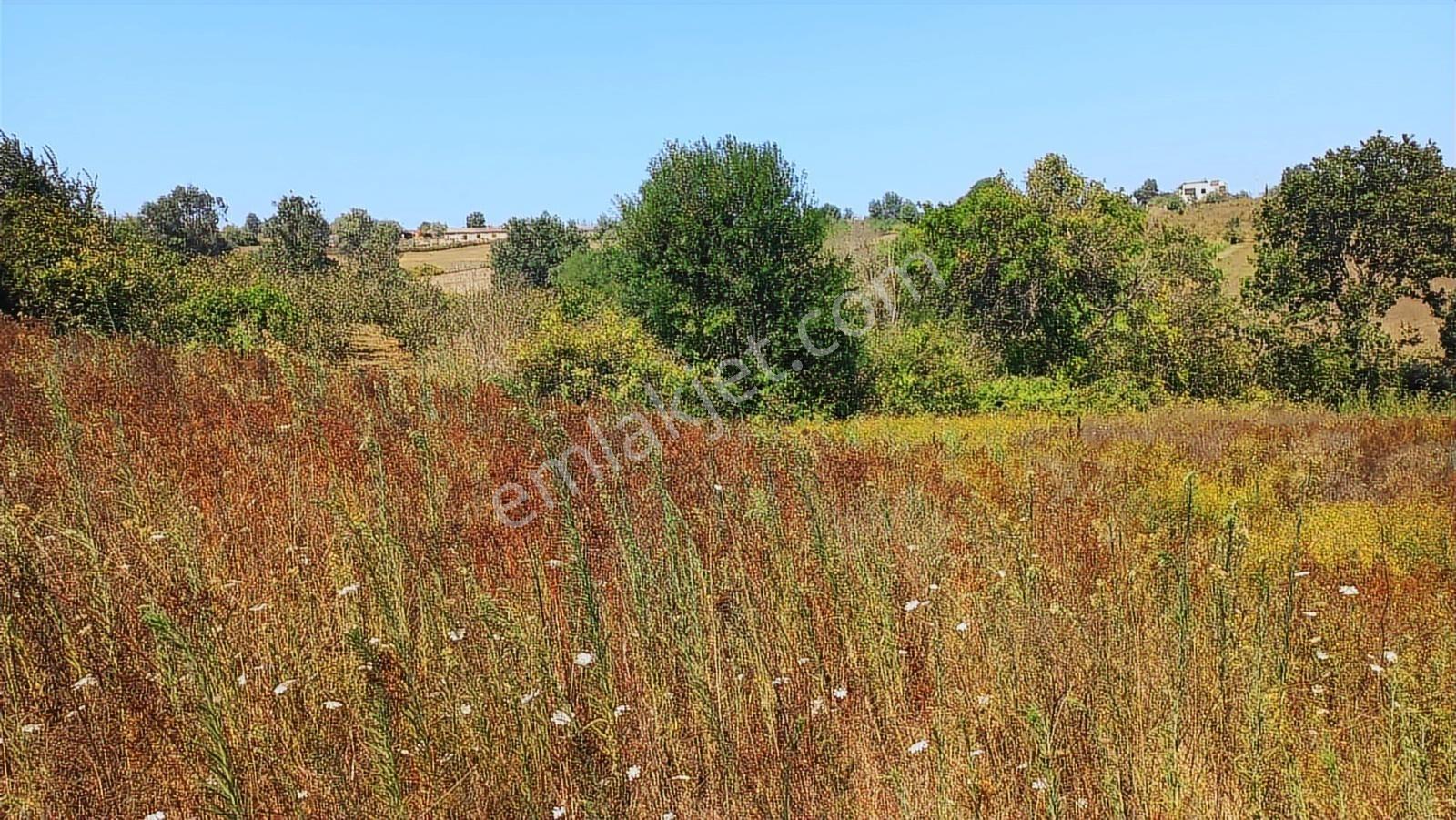 Kandıra Karaağaçta Yerleşim Yerinde,1,241 M2 Arsa - Görsel 10