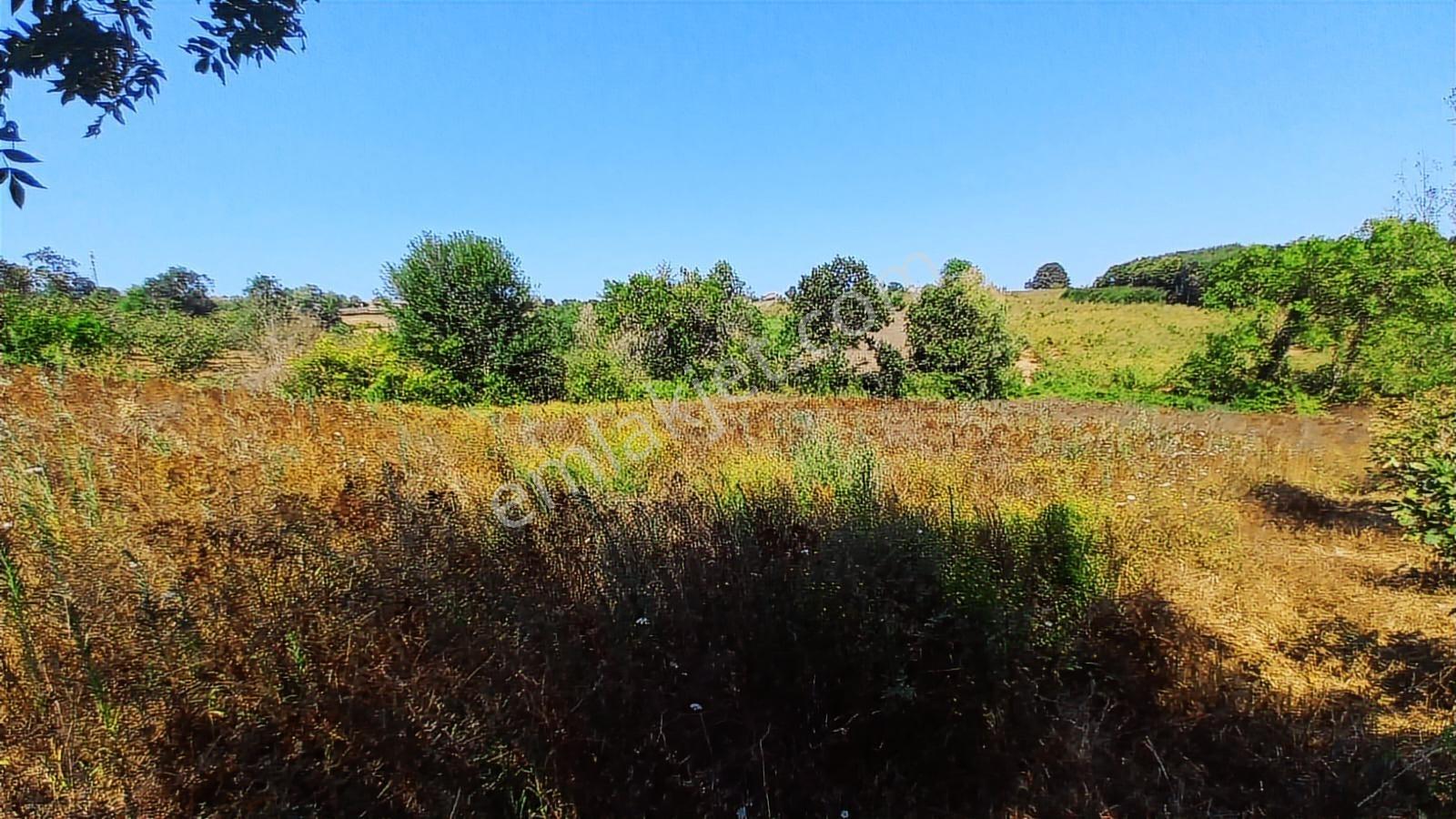 Kandıra Karaağaçta Yerleşim Yerinde,1,241 M2 Arsa - Görsel 9