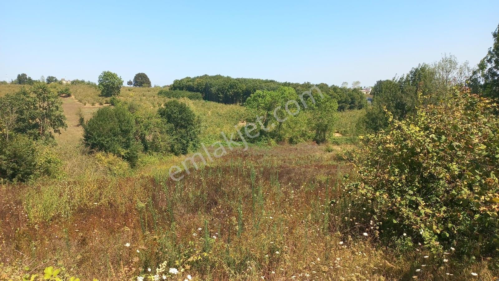 Kandıra Karaağaçta Yerleşim Yerinde,1,241 M2 Arsa - Görsel 24