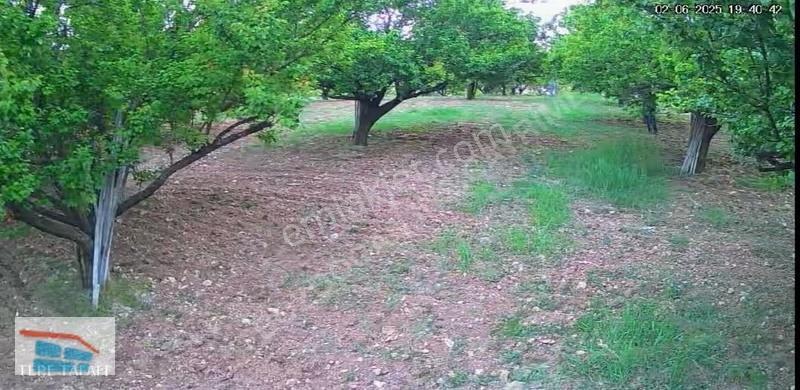 Bozdoğandan Gözenede Satılık Bahçe