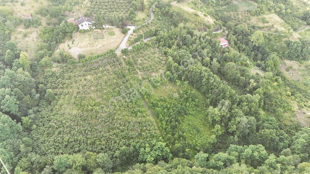 Abdi Bostan Gayrimenkul'den Akçaabat Mersinde Satılık Arazi - Görsel 5