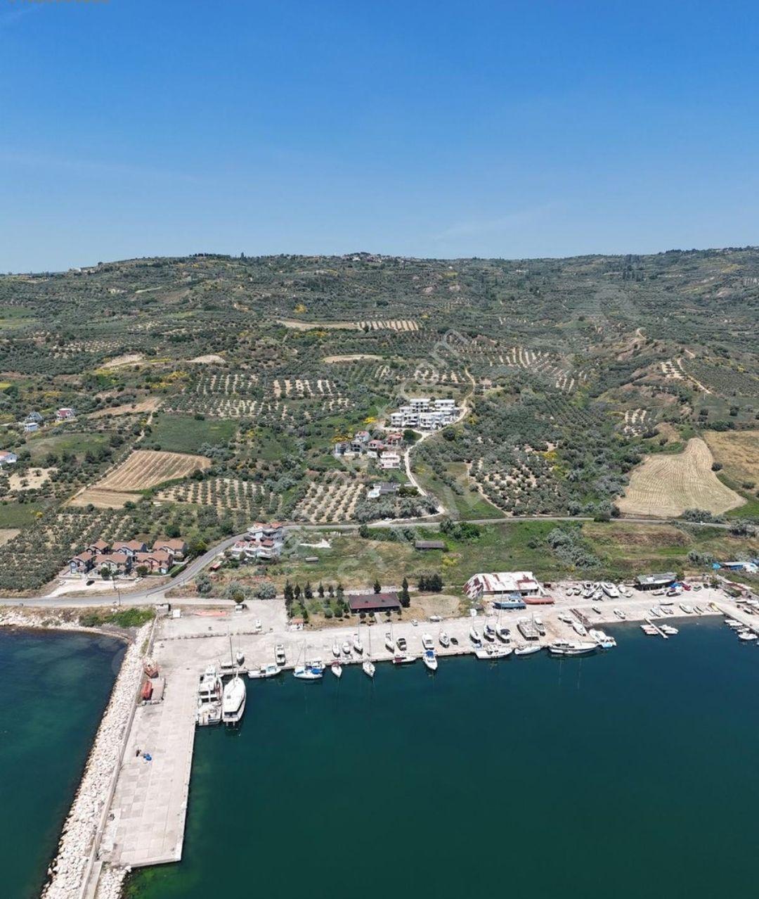 Mürefte`de Deniz`e Sıfır İmarlı 430 Metre Kare Hisse - Görsel 20
