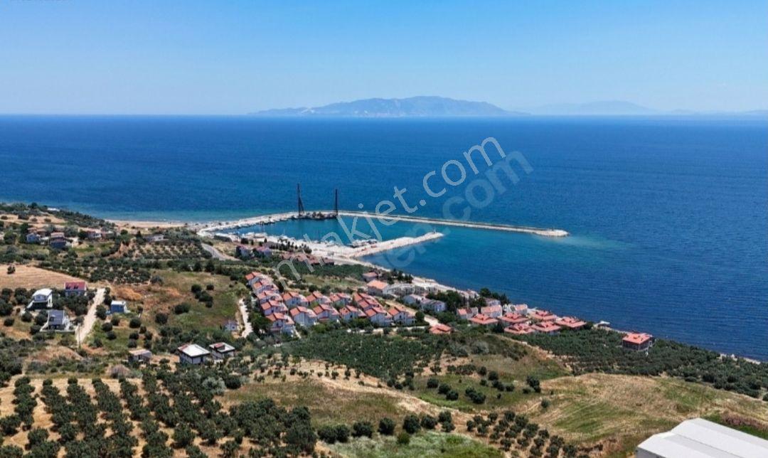 Mürefte`de Deniz`e Sıfır İmarlı 430 Metre Kare Hisse - Görsel 15