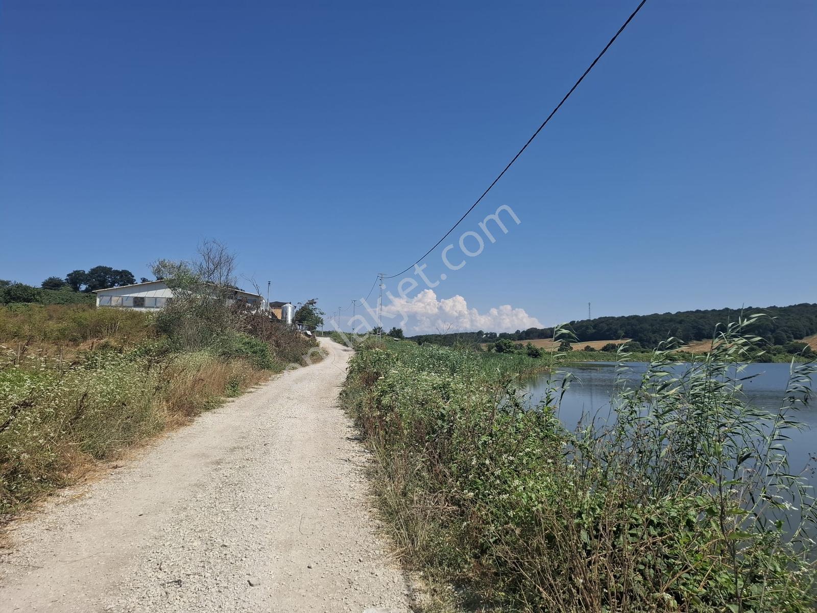 Turnalı Da Göl Manzaralı 23.615 M2 Yol Kenarı Fındık Bahçesi - Görsel 6