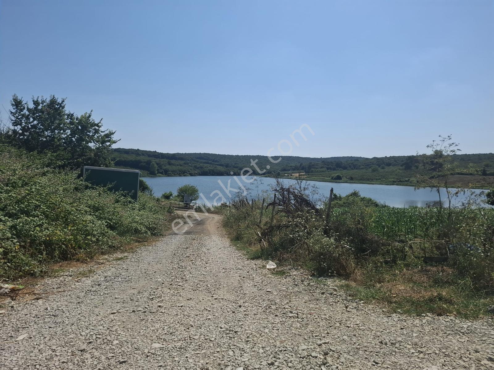 Turnalı Da Göl Manzaralı 23.615 M2 Yol Kenarı Fındık Bahçesi - Görsel 5
