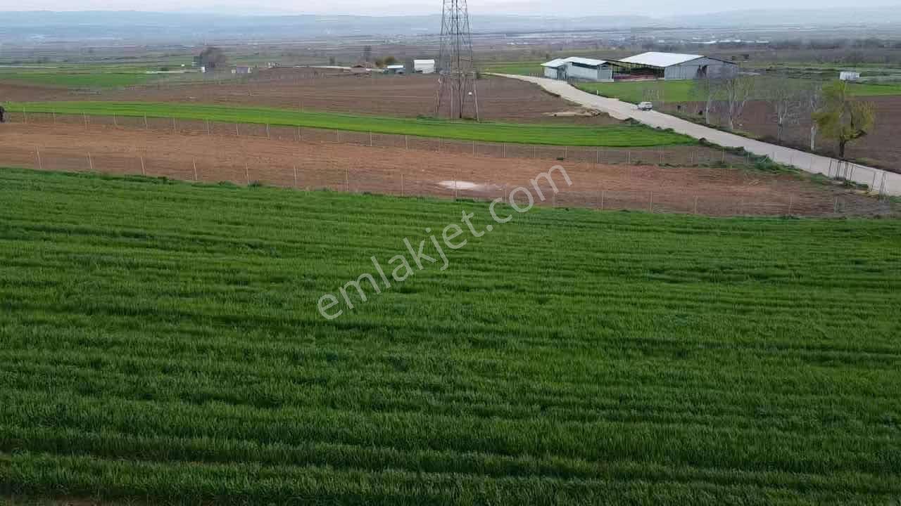Yenişehir Demirboğa'da Mücavir Alan İçinde Yatırımlık Tarla - Görsel 4