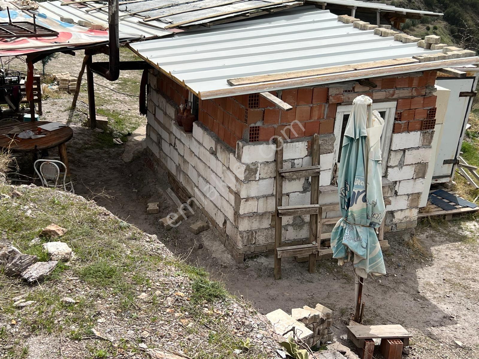 Karacasu Işıklar Mahallesinde 36.500 M² Satılık Zeytinlik - Görsel 22
