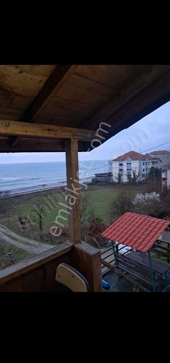 Sinop Türkeli İçesinde Satılık Tek Katlı Ev Ve Arsası - Görsel 14
