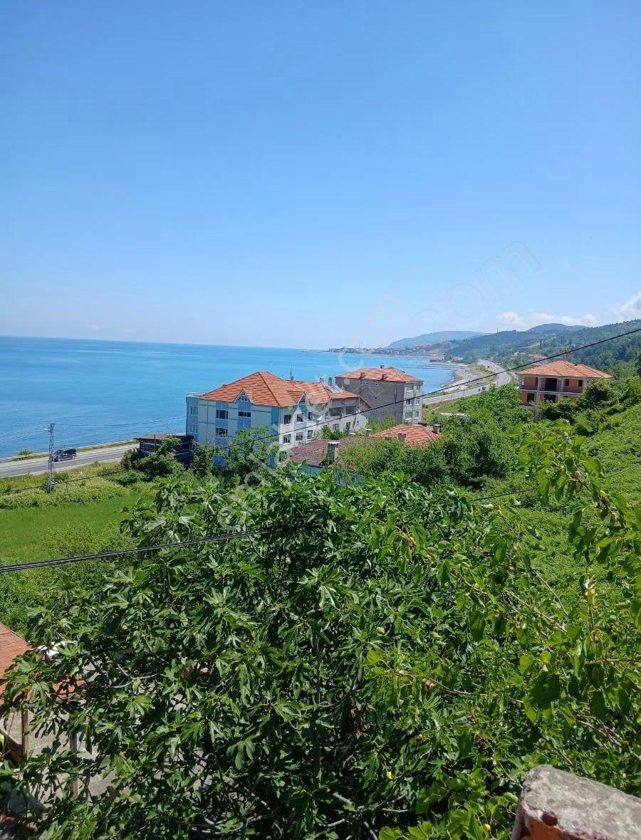 Sinop Türkeli İçesinde Satılık Tek Katlı Ev Ve Arsası