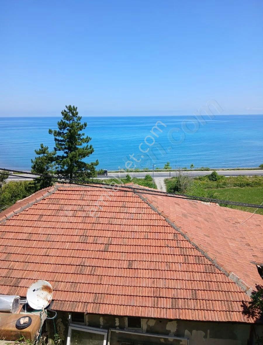 Sinop Türkeli İçesinde Satılık Tek Katlı Ev Ve Arsası - Görsel 29