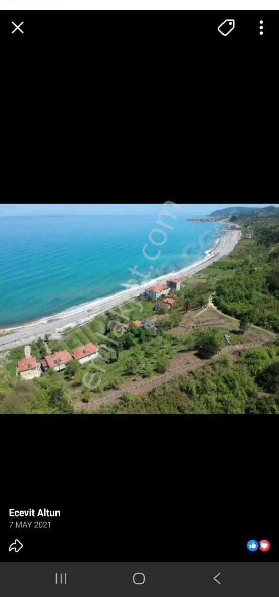 Sinop Türkeli İçesinde Satılık Tek Katlı Ev Ve Arsası - Görsel 9