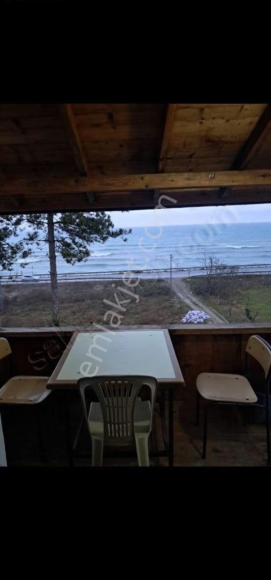 Sinop Türkeli İçesinde Satılık Tek Katlı Ev Ve Arsası - Görsel 7