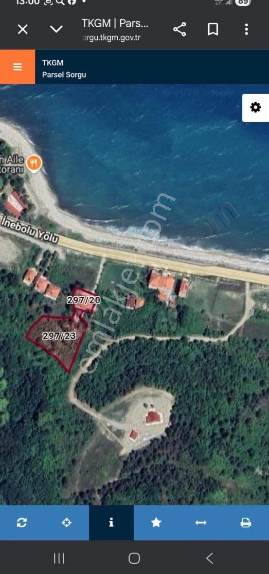 Sinop Türkeli İçesinde Satılık Tek Katlı Ev Ve Arsası - Görsel 19