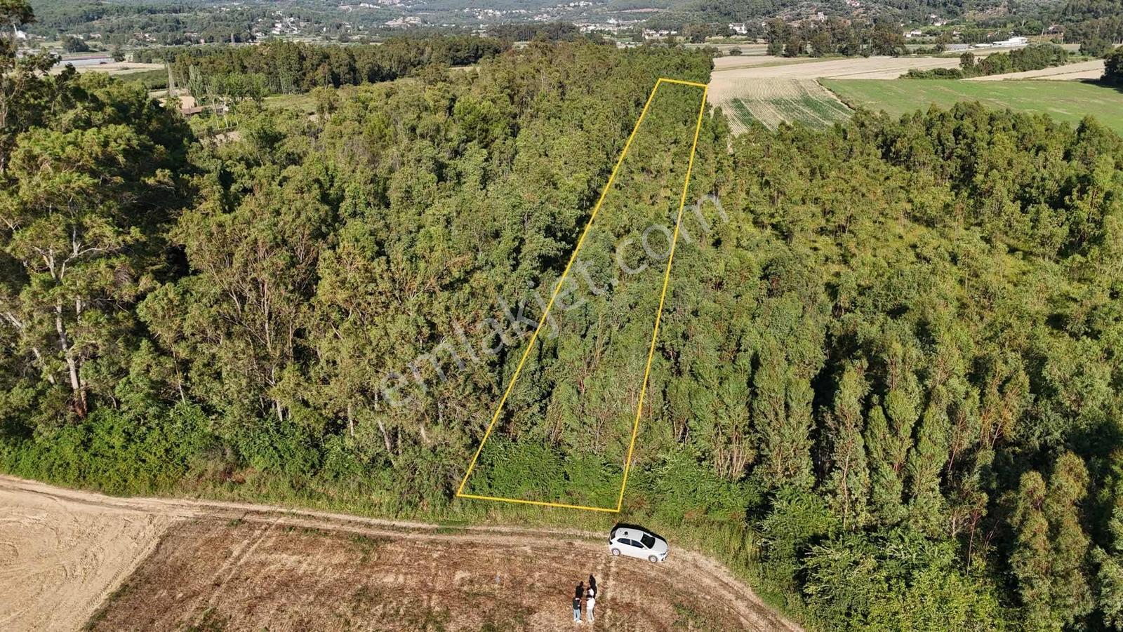 Muğla Ula Çıtlık Mah 11.199 M² Denize Yakın Arazi - Görsel 8