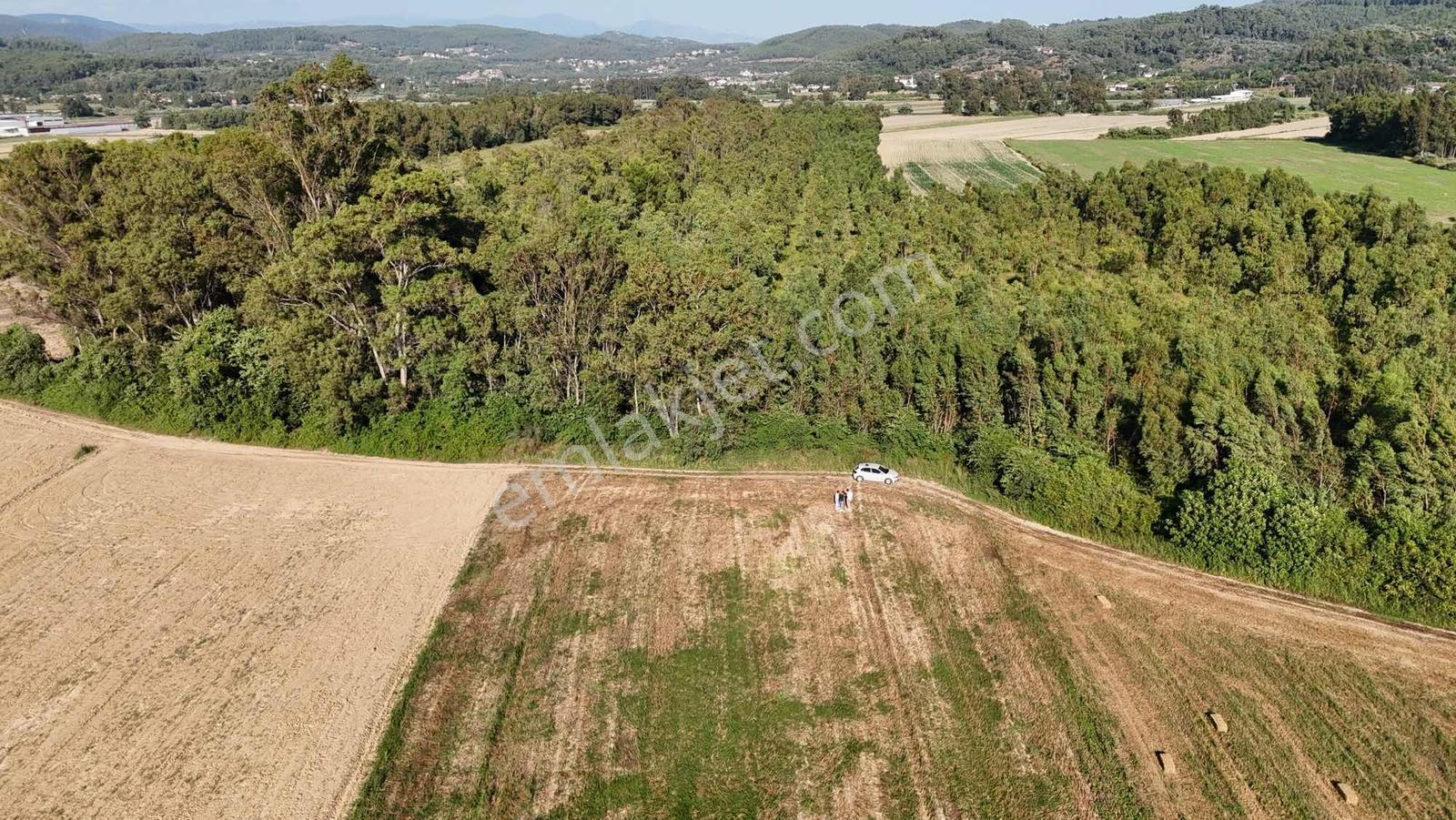 Muğla Ula Çıtlık Mah 11.199 M² Denize Yakın Arazi - Görsel 26