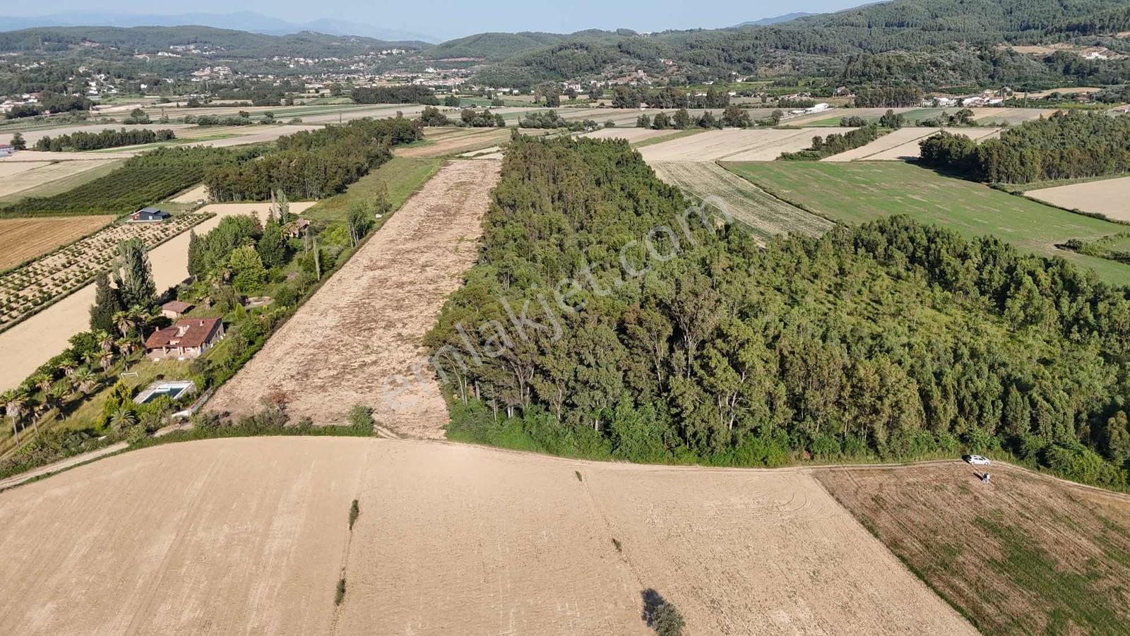 Muğla Ula Çıtlık Mah 11.199 M² Denize Yakın Arazi - Görsel 14