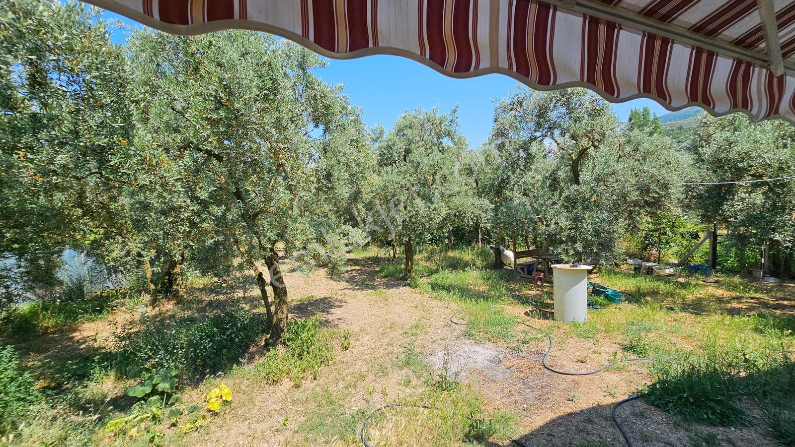 Orhangazi Akharem'de / 874 M² İçerisinde Ev Olan Tam Yaşam Alanı - Görsel 22