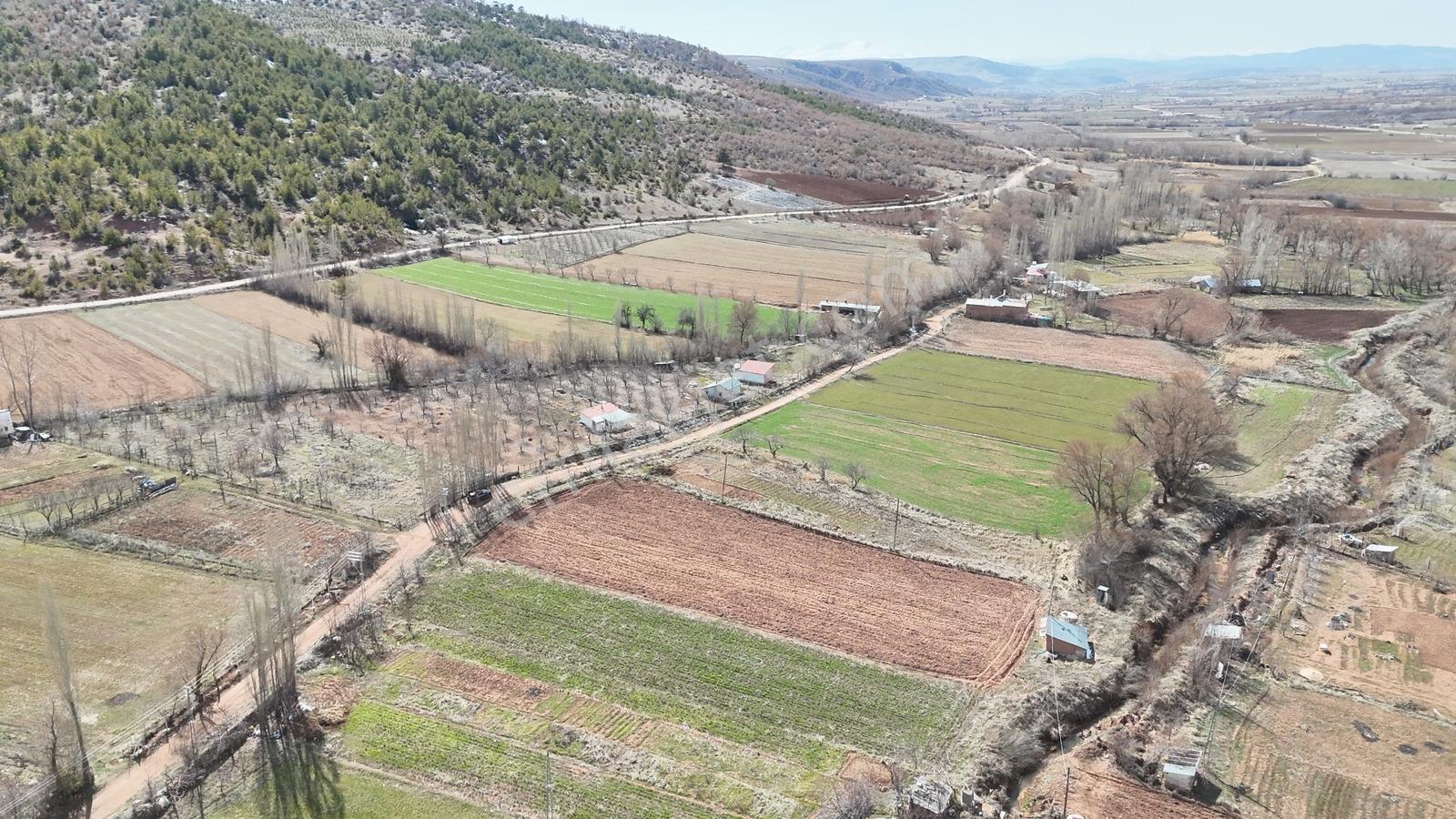 Mustafa Kara'dan Derbent Merkzde Elk Su Hazır Yola Cephe Parsel - Görsel 9