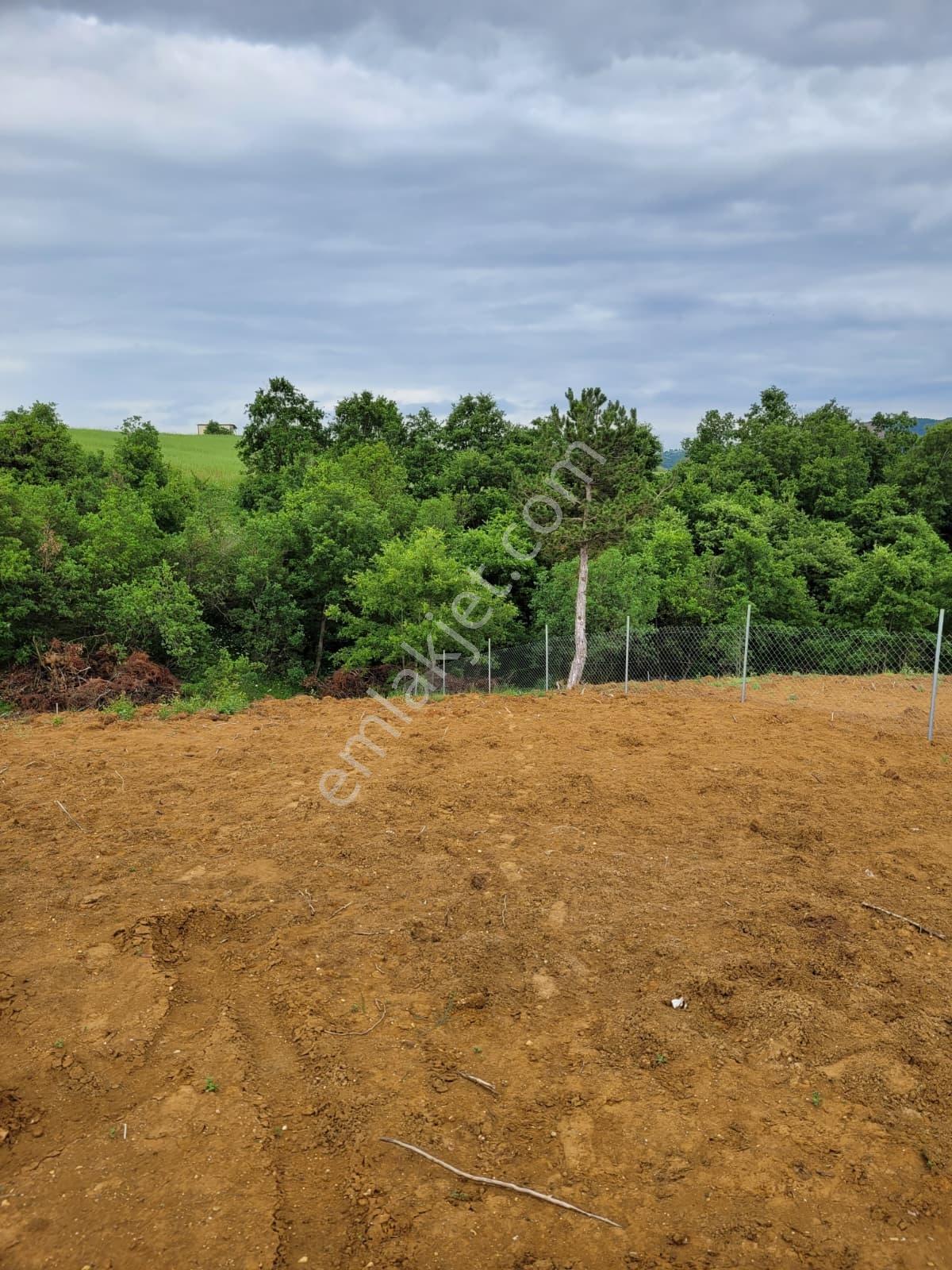 Bursa Kılıç Tan Yenişehir Selimiye De 1000m2 Satılık Tarla - Görsel 4
