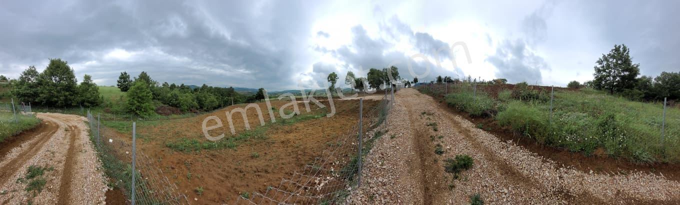 Bursa Kılıç Tan Yenişehir Selimiye De 1000m2 Satılık Tarla - Görsel 8
