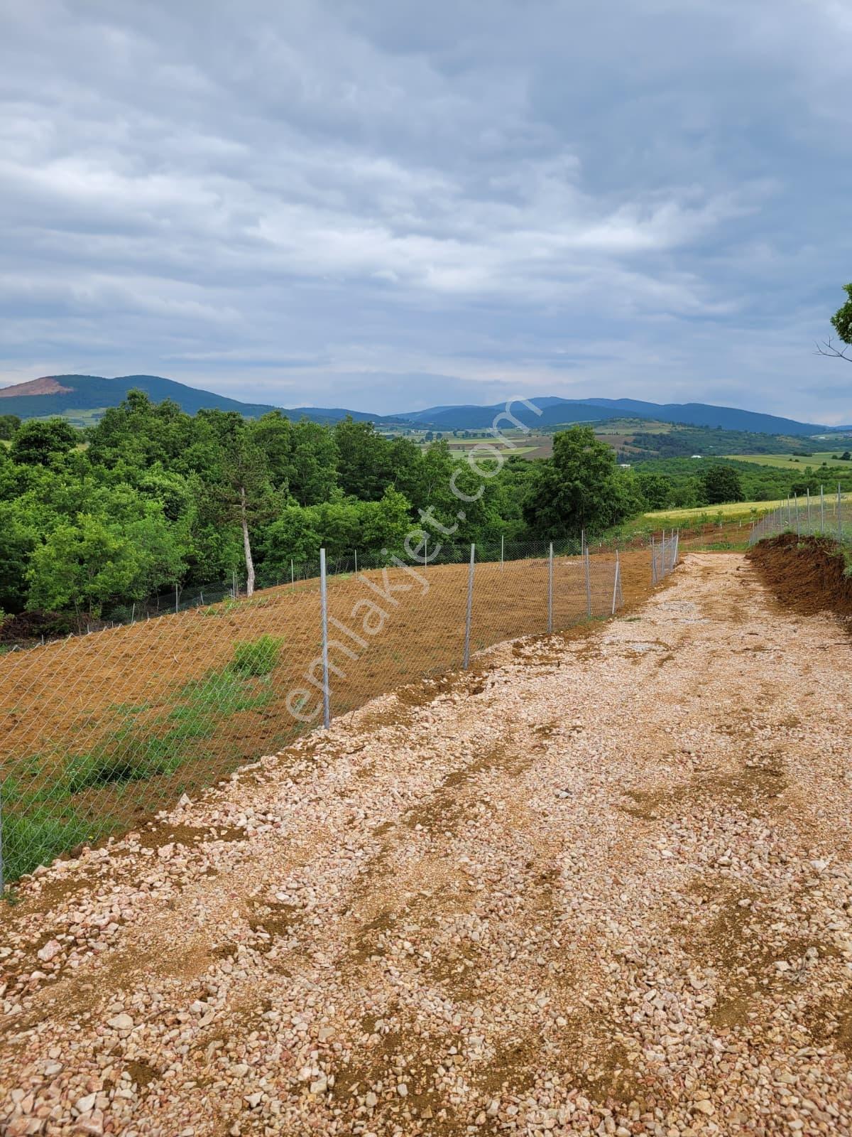 Bursa Kılıç Tan Yenişehir Selimiye De 1000m2 Satılık Tarla - Görsel 6