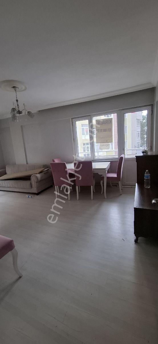 Agm Den Cemaliye Mahallesinde 2+1 Eşyalı Kiralık Daire Fırsatı - Görsel 10