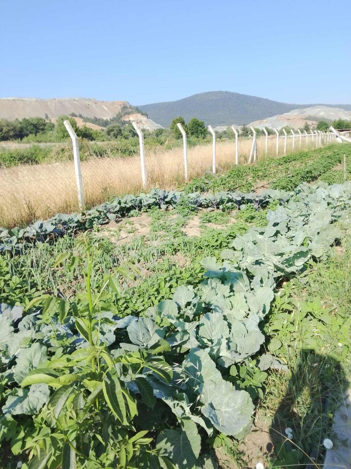 Bursa Orhaneli Çörelerde Satılık Tarla