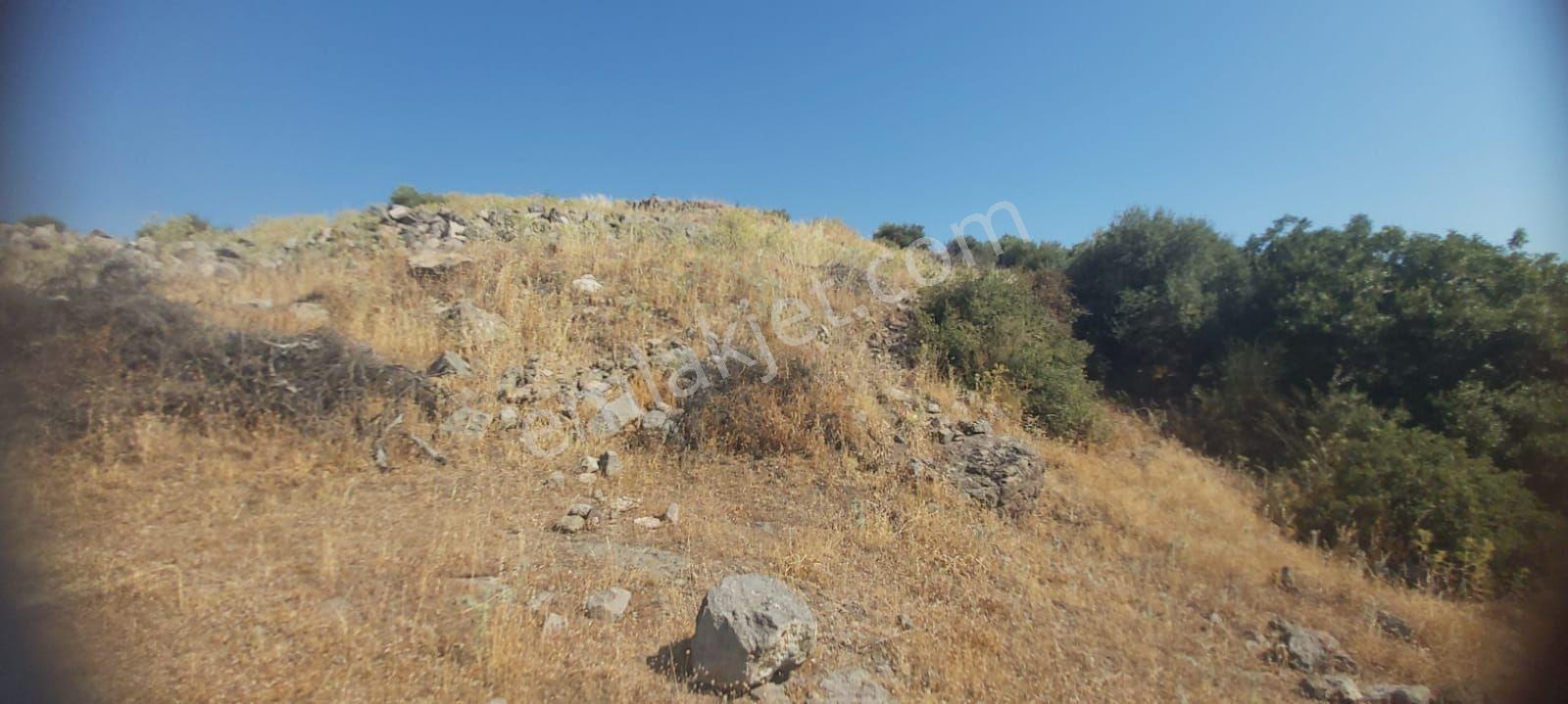 Bademli'de Manzarası Kapanmaz 361 M² Satılık Parsel - Görsel 8