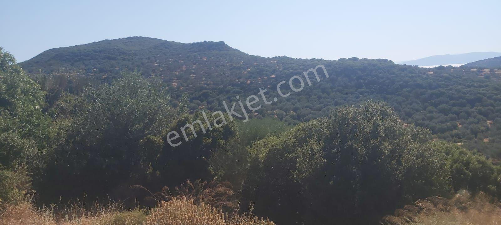 Bademli'de Manzarası Kapanmaz 361 M² Satılık Parsel - Görsel 9