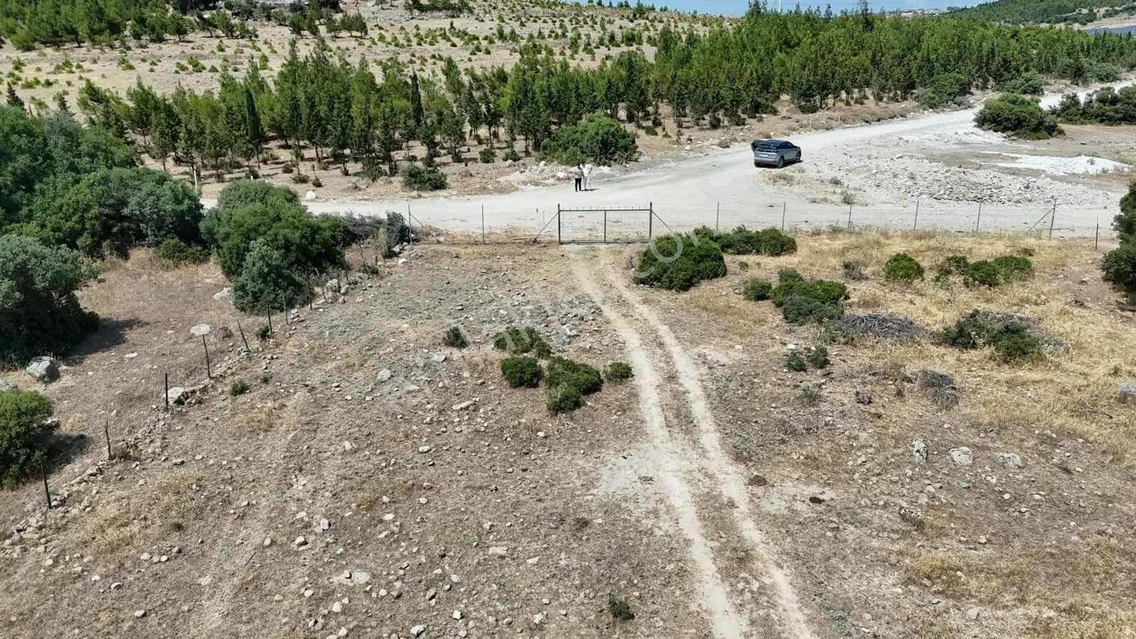 Realiva'dan Bergama Örlemişte Yola Cephe Satılık Tarla - Görsel 6