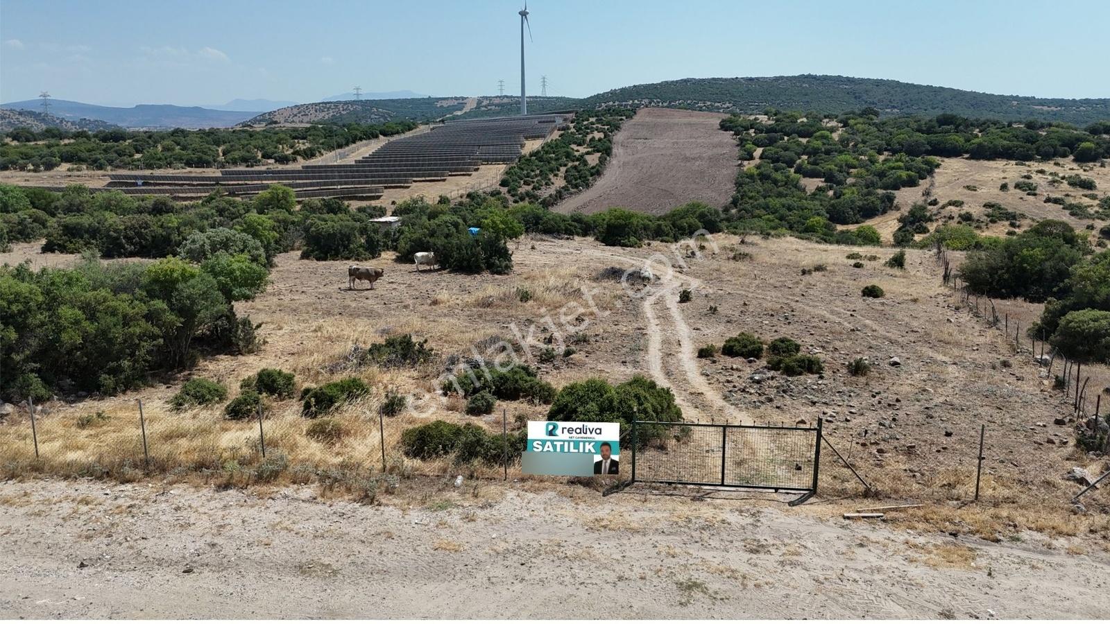 Realiva'dan Bergama Örlemişte Yola Cephe Satılık Tarla - Görsel 3