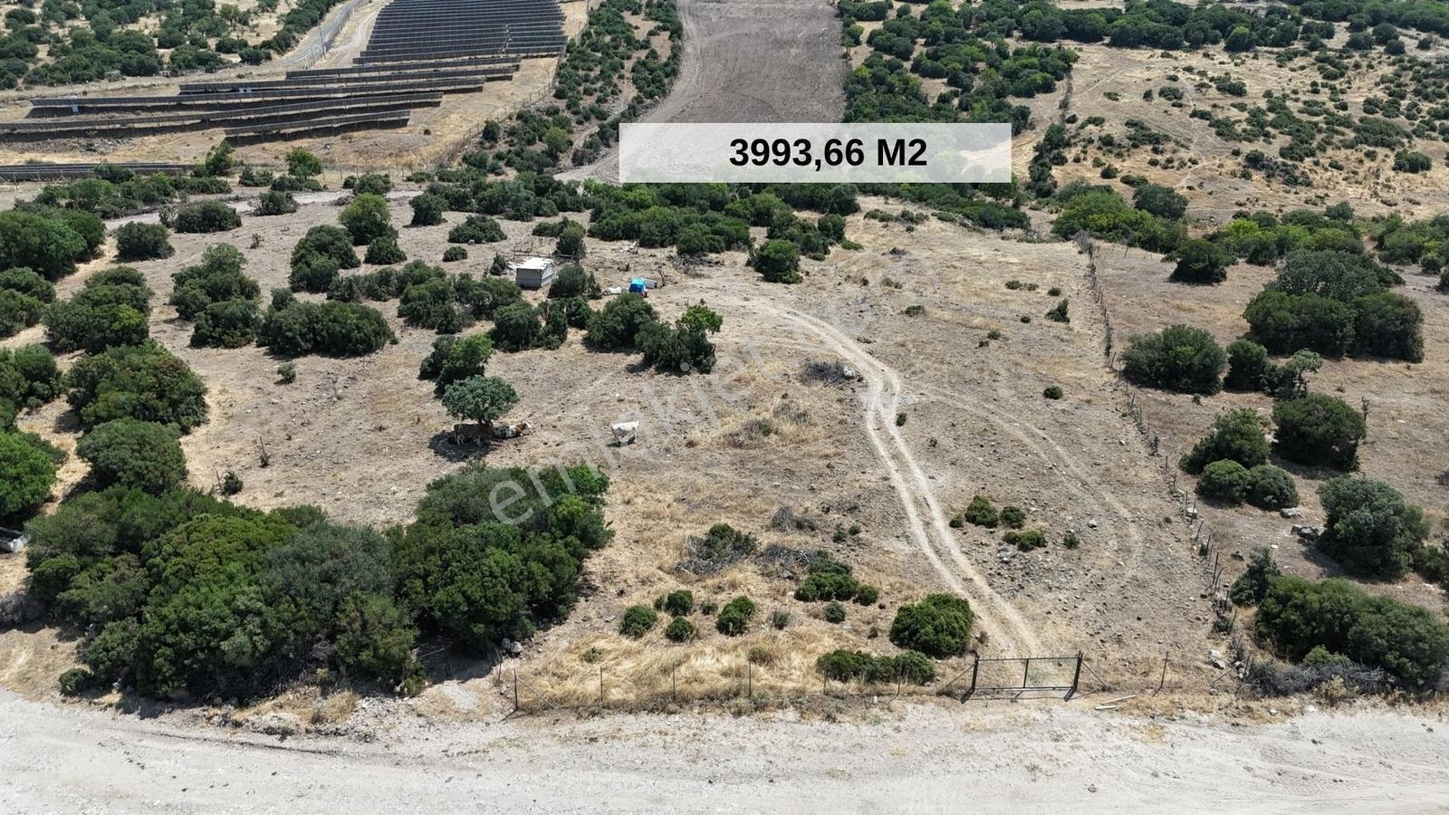 Realiva'dan Bergama Örlemişte Yola Cephe Satılık Tarla - Görsel 5