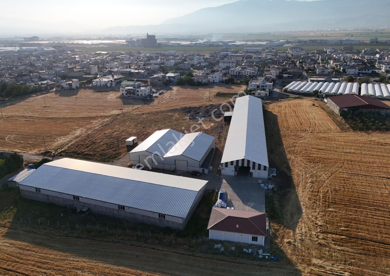 Kapalı Alanlı Kira Getirili Satılık Tarla(9288m²) - Görsel 14