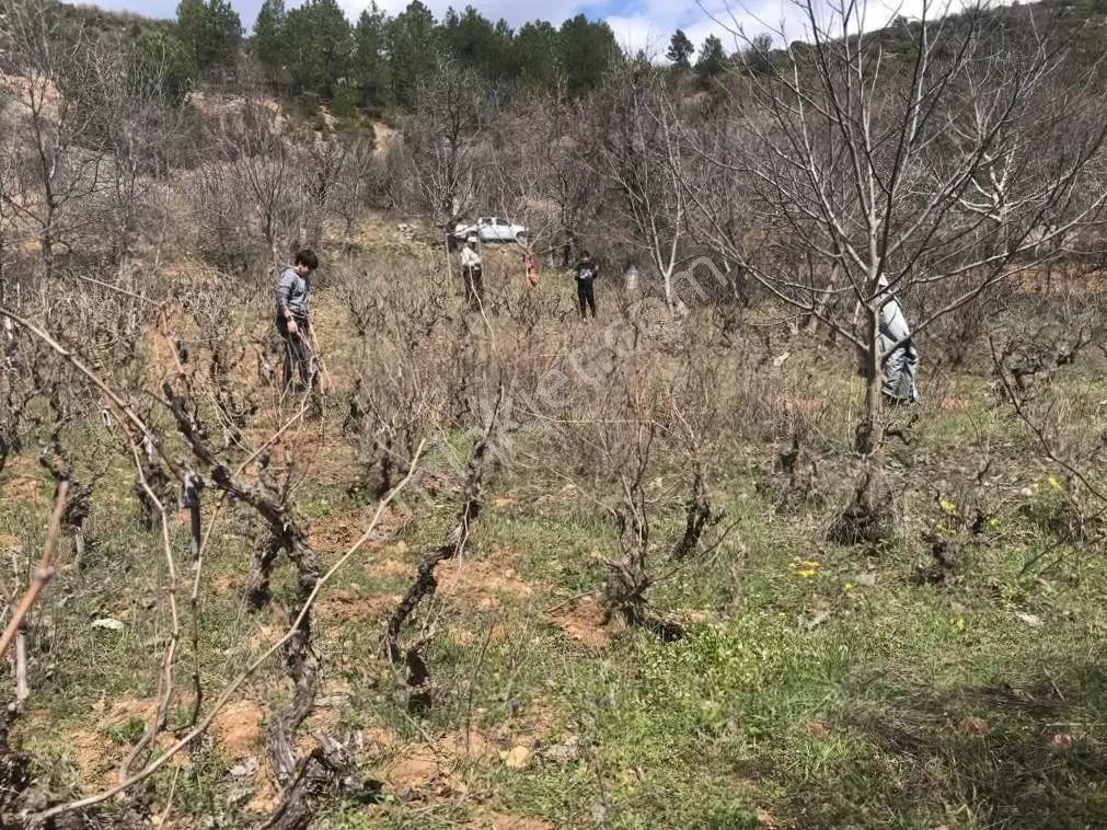 Bursa Keles Yunuslar Mahallesi'nde Acil Satılık Bağ Yeri - Görsel 2