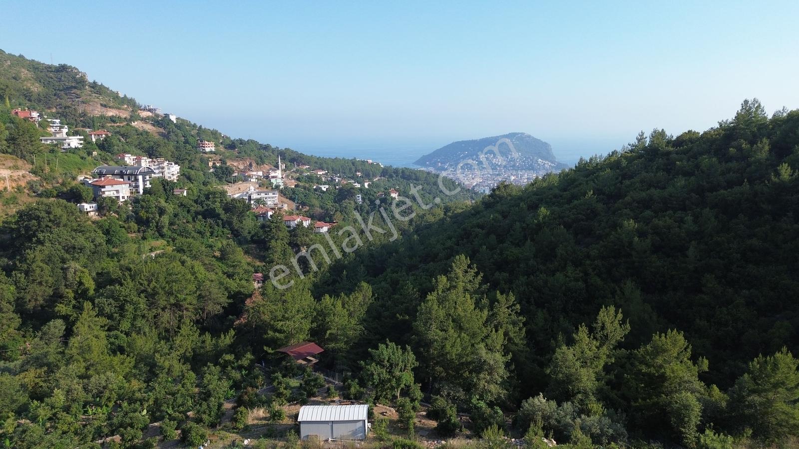 Tepe'de Satlık 1320 M2 Deniz Ve Kale Manzaralı Villa İmarlı Arsa - Görsel 3