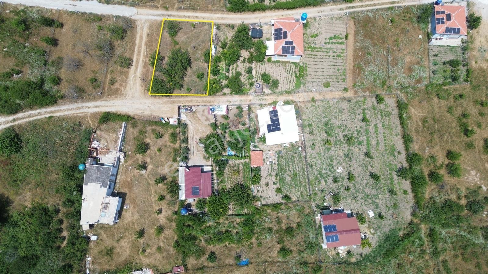 Erz'den Bornova Yaka Köy'de Eşsiz Doğa Manzaralı Hobi Bahçesi - Görsel 6