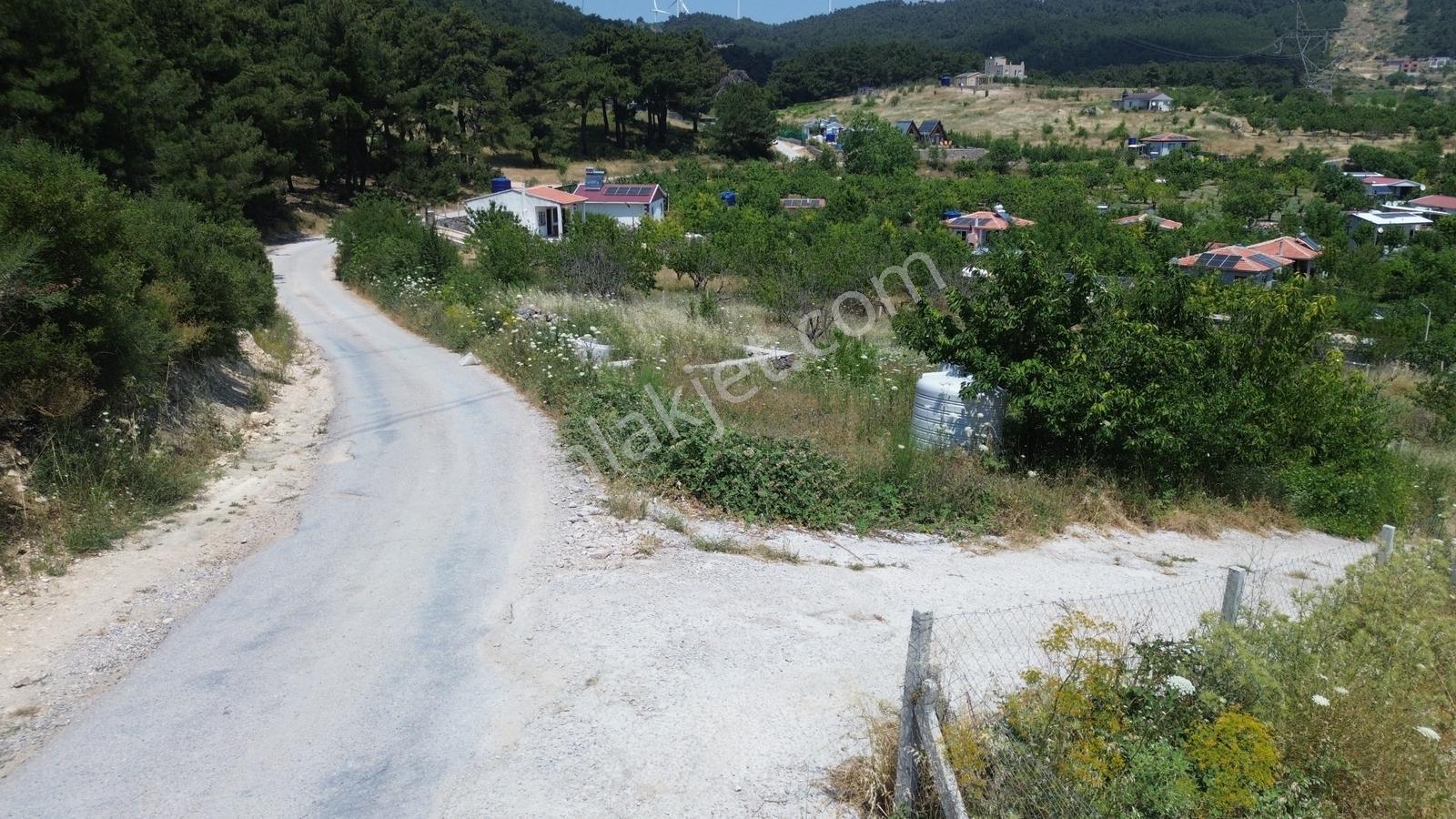 Erz'den Bornova Yaka Köy'de Eşsiz Doğa Manzaralı Hobi Bahçesi - Görsel 9